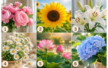 Trắc nghiệm: Niềm vui nào đang dần mở ra trong cuộc sống của bạn