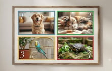 Chọn 1 con vật bạn muốn nuôi nhất sẽ nói trước điều bạn khát khao nhất
