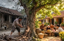 Nghèo mấy không chặt 3 loại cây, con cháu đời sau được che chở