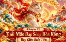 3 tuổi Đạp Sóng Hóa Rồng, Bay Giữa Biển Tiền