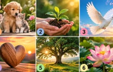 Chọn 1 hình ảnh để xem bạn có lòng trắc ẩn đến đâu