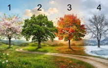 Trắc nghiệm: Lựa chọn 1 cái cây sẽ nói cho bạn biết tháng 9 âm bạn giàu có hay không?