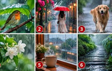 Chọn hình ảnh trong mưa khiến bạn chú ý