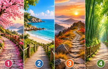 Chọn 1 con đường xem cơ hội nào sắp mở ra