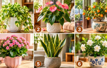 Chọn 1 cây cảnh để xem người khác nghĩ gì về bạn