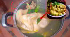 Luộc gà cùng nước lã vừa tanh vừa đỏ, thêm nắm lá này gà vàng ươm, chín đều ngọt thịt