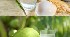 7 tác dụng của việc uống nước dừa tươi vào buổi sáng