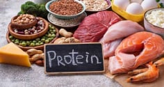 Tiêu thụ nhiều protein có thật sự tốt như bạn nghĩ?