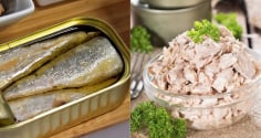 Xương cá trong đồ đóng hộp có tốt không? Câu trả lời từ chuyên gia dinh dưỡng