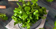 Loại rau trồng 1 lần ăn chục năm, canxi gấp đôi sữa bò, trẻ ăn vào cao lớn trông thấy