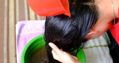 3 loại lá gội đầu hết gàu, tóc bóng mượt