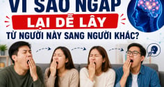 Vì sao ngáp lại dễ lây từ người này sang người khác?