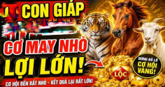 4 tuổi trả hết Nợ Đời, Tiến Thẳng giàu sang từ 20/6 đến 27/6
