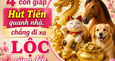 4 con giáp Hút Tiền quanh nhà, chẳng đi xa Lộc cũng đến
