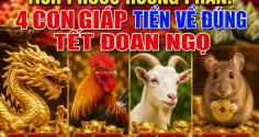 Tích Phước Hưởng Phần: 4 con giáp Tiền về đúng tết Đoan Ngọ