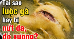 Tại sao luộc gà hay bị nứt da, đỏ xương?