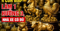 4 con giáp Làm 1 hưởng 3, nhà xe có đủ