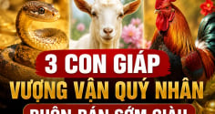 3 con giáp Vượng Vận Quý Nhân, buôn bán sớm giàu