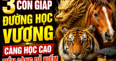 3 con giáp đường Học vượng, càng học cao Tiền càng dễ kiếm