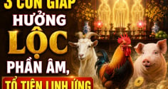 3 con giáp hưởng Lộc phần Âm, Tổ tiên linh ứng