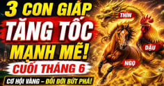 3 con giáp vượt khổ đi lên, 3 tháng tới Tiền về liên tiếp