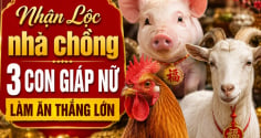 Nhận Lộc nhà chồng 3 con giáp nữ làm ăn thắng lớn