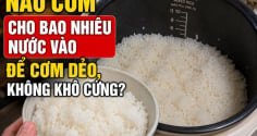 Nấu cơm cho bao nhiêu nước vào để cơm dẻo, không khô cứng?