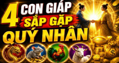 4 con giáp được thời phất lên, số hên sau tuổi 40