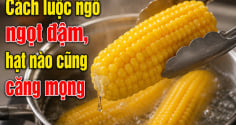 Cách luộc ngô ngọt đậm, hạt nào cũng căng mọng