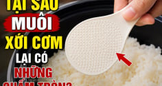 Tại sao muôi xới cơm lại có những chấm tròn?