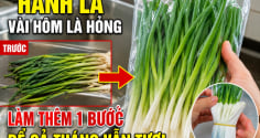 Hành lá vài hôm là hỏng, làm thêm 1 bước để cả tháng vẫn tươi