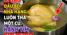 Vì sao đầu bếp nhà hàng luôn thả một củ hành tím vào nồi luộc gà?