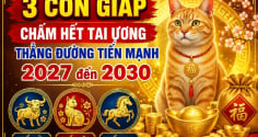3 con giáp chấm hết tai ương thẳng đường tiến mạnh 2027 đến 2030