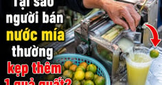 Tại sao người bán nước mía thường kẹp thêm 1 quả quất?
