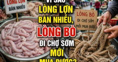 Vì sao lòng lợn bán nhiều, lòng bò đi chợ sớm mới mua được?