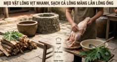 Mẹo vặt lông vịt nhanh, sạch cả lông măng lẫn lông ống