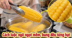 Cách luộc ngô ngọt mềm, bung đều từng hạt