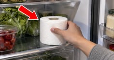 Đêm ngủ đặt cuộn giấy vào tủ lạnh có tác dụng gì?