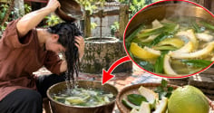 Mẹo nấu vỏ bưởi gội đầu kích tóc con mọc tua tủa