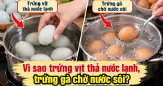 Tại sao luộc trứng vịt thả nước lạnh, luộc trứng gà phải chờ nước sôi?