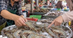Mua tôm chọn con cong hay thẳng là ngon nhất?