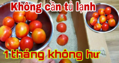 Cất cà chua vào tủ lạnh ngay là hỏng: Người nông dân mách 1 cách dễ, để vài tuần vẫn căng mọng
