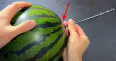 Vì sao nên cắm một chiếc đũa vào quả dưa hấu trước khi bổ?