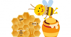 Mật ong rất bổ dưỡng nhưng đừng dùng chung với những thứ này, sẽ không tốt