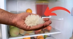 Bất ngờ với việc đặt 1 bát muối vào trong tủ lạnh, mang lại nhiều công dụng to lớn