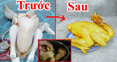 Luộc gà dùng nước sôi hay lạnh đều sai bét: Muốn gà vàng da- ngọt thịt, phải có 1 thứ