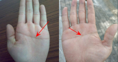Lòng bàn tay có 3 đường chỉ tay tài lộc này, một đời an yên, không lo thiếu tiền