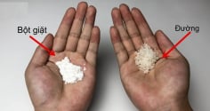 Trộn đường trắng với bột giặt đem rắc quanh nhà, hiệu quả 'vàng mười' ai cũng thích