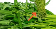 2 cách chế biến cọng rau muống già cực ngon, lạ miệng đổi bữa cho gia đình, đừng vứt bỏ mà lãng phí