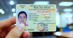 6 trường hợp bắt buộc đổi Giấy phép lái xe năm 2025 để tránh bị xử phạt